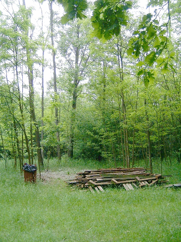 20100530 007.jpg